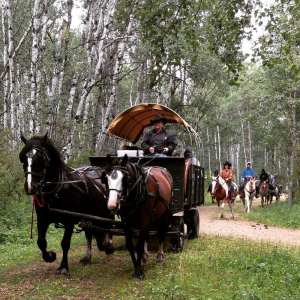 3 BR Trail Ride wagon