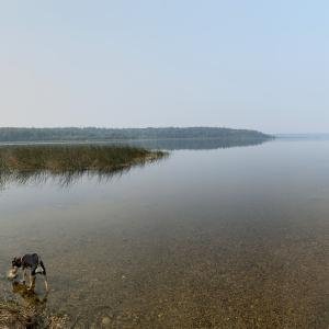 51f Beaver Lake