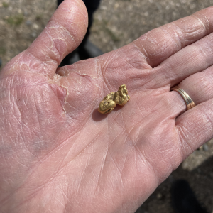 84a a Gold nugget